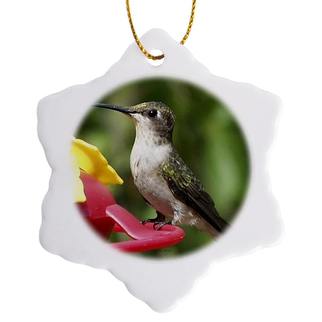 Flocon porcelaine colibri 3dRose ORN 19157 suspension sapin suspendue or