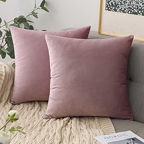Comvi Lot de 4 coussins lilas avec housses incluses - (2 coussins de coussin, 2 housses de coussin) et accessoires - Coussins en velours pour coussins de canapé 45 x 45 cm avec housses - Lilas