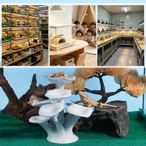 Plataforma para reptiles acuario hongo y accesorios terrario 5