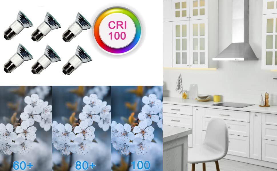 Dacor Hood Halogen Lamp LED 75-Watt Equivalent Halogen Bulb For - Foto 11