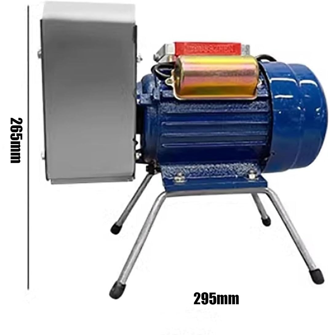 Elektrische Schlammmühle 220V/750W, Edelstahl Kartoffelstampfer 20-30KG/H, Präzisionsschleifen für Knoblauch, Tomaten, Kartoffeln, Karotten, zeitsparendes Küchengerät