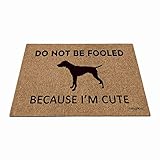 Entretien facile : Vous pouvez utiliser un aspirateur ou un robot aspirateur pour votre entretien quotidien, ce tapis d'extérieur est également lavable en machine. Un rinçage au tuyau d'arrosage est également une option facile.