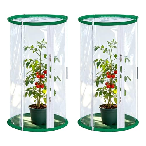 2 Stück Gewächshaus Klein, 52x28CM Zuchtkäfig für Schmetterlinge, Transparenter Netzkäfig, Überwinterungszelt für Zucht von Kleinen Insekten, Schmetterlingen und Pflanzenbeobachtung