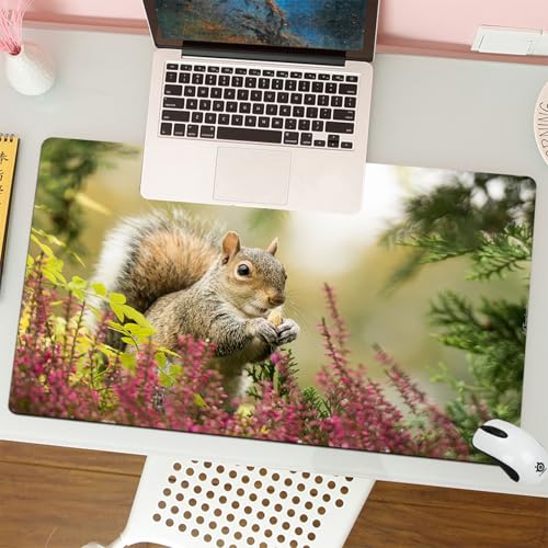 MESHIZIY Mauspad (400 × 750 MM) Verlängertes großes Mauspad Schreibtischauflage, rutschfeste Gummibasis, Gaming-Mauspad XLEichhörnchen isst Nüsse Blumen Blumen
