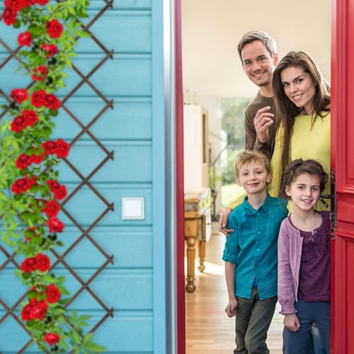 Guías plantas enredaderas para optimizar el espacio vertical en jardines pequeños 4