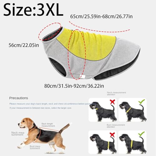 Chaleco refrescante para perro para cuidar a tu compañero en verano 7