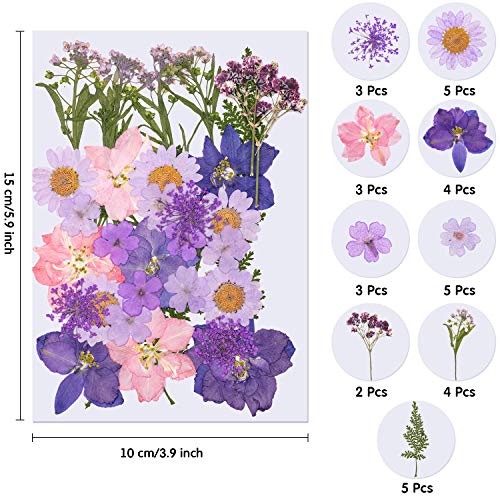 image for WILLBOND 126 Pieces Dried Pressed Flowers Natural Dried Flowers Colorf