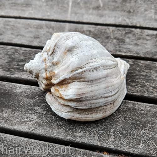 Episode 5: Yoga nidra - wisseling seizoen: winter naar lente