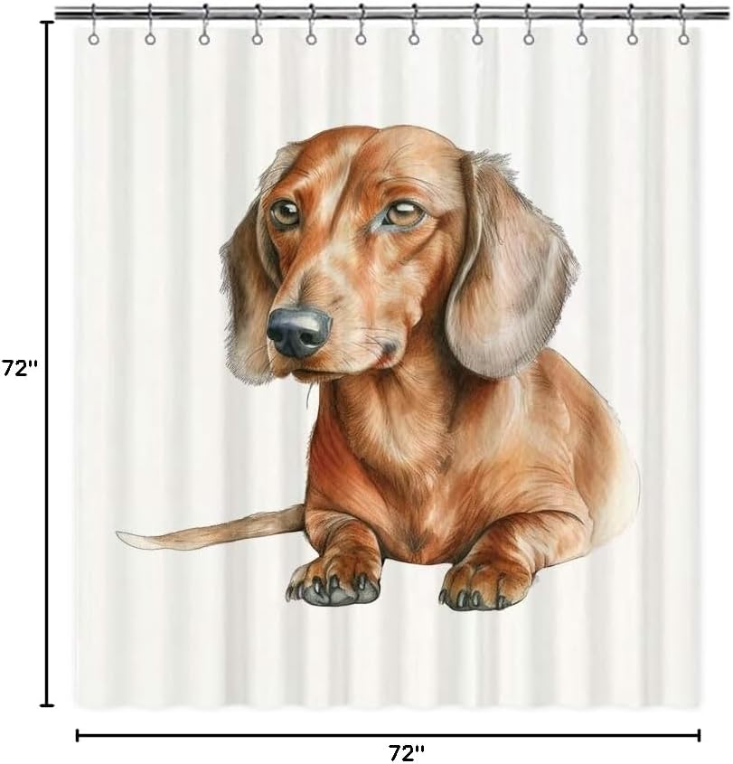Funny Dachshund Dog Portrait Shower Curtain Watercolor Animal Pet Puppy Print Bath Curtains for Bathroom Home Decoration with 12 Hooks 72x72 Inch