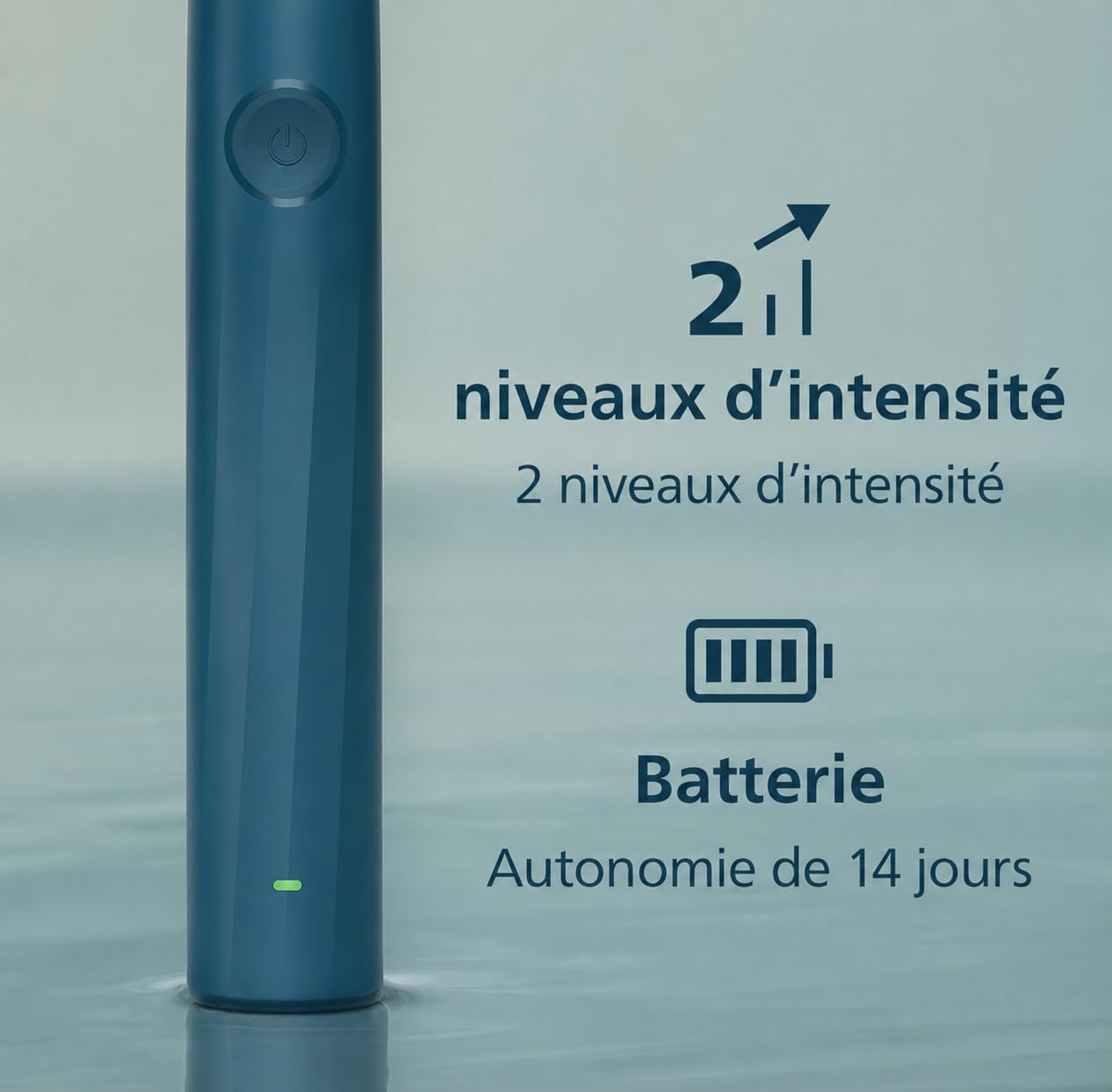 Philips Sonicare Série 2100 - Brosse à Dents Électrique Sonique, Élimine 3x plus de plaque, Capteur de pression, SmarTimer & QuadPacer, Bleu Cobalt (HX4021/04) (Bleu Marine)
