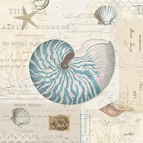 Miniatura 4 de Gango Home Décor Hermoso juego de conchas marinas y estrellas de mar Nautilus de Katie Pertiet decoración costera dos lienzos estirados a mano de 12