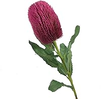 Vista 5 de Flor artificial de Banksia decorativa de plástico, hermosa flor de madera de banco preservada, tallo de Banksia para decoración del hogar y la Morado
