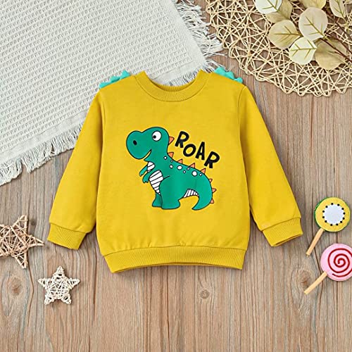 Toddler Baby Boy Clothes Fall Winter Outfits Long Sleeve Dinosaur Sweatshirts Tops+Pants Set 2 Piece3