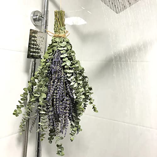 12 Stems Dried Eucalyptus Branches Greenery Stems,17 Inch 100% Real Natural Live Eucalyptus Leaves Plant Greenery Decor For Shower Aromatherapy Flower Arrangements Wedding Home #TOP4