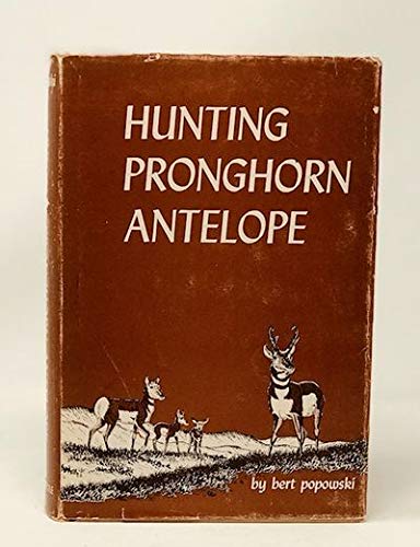 Hunting pronghorn antelope