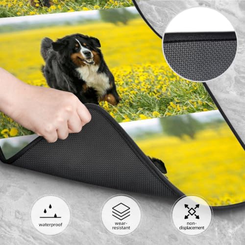 Alfombrillas de coche de Boyero de Berna juego de protectores de neopreno para amantes de perros 4