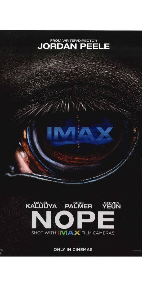 Amazon.co.jp: 映画 NOPE ノープ IMAX入場者記念A3ポスター 筒入り 330