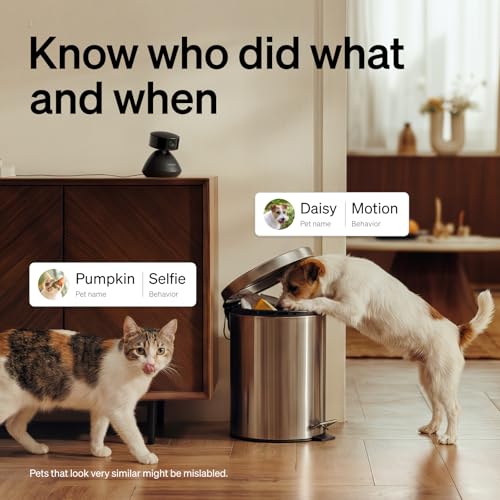 Image of PETLIBRO Dog Camera with Phone App, 360 Auto Tracking Pet Camera Indoor with Phone App for Home Alone Pets, Cat & Puppy Camera with 2-Way Audio, Night Vision, Indoor Camera WiFi
