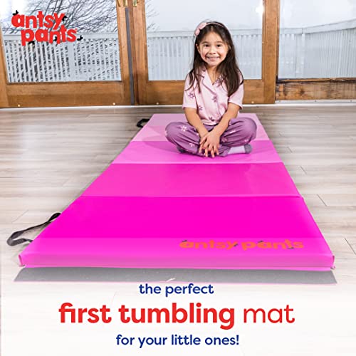 Flybar Antsy Pants Tumbling Mat – Gymnastics Mat, Easy To Clean Gym Mat, Sturdy, Foldable Tumbling Mat For Kids, Padded, Lightweight, Portable, Carrying Handle, Gymnastics Equipment For Activity Play, Pink Ombre Colors #TOP1