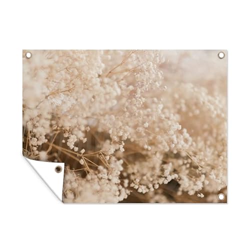 MuchoWow Poster exterieur Herbe de la pampa - Plante - Nature Decoration murale 120x90 cm Résistant aux intempéries/soleil