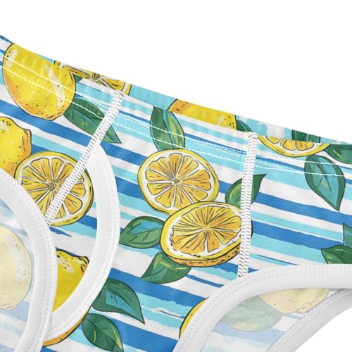 Wusikd Lemons Lemon Slices Boys' Underwear Cotton Blue Stripe Boys Briefs Soft Toddler Underwear 2T4