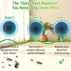 Mini Ultrasonic Pest Repeller 2024 Upgraded 360° Indoor Mouse Repellent Ultrasonic Plug In Ultrasonic Rodent Repellent for House Effectively Repels Mouse Rodent Roach Mosquito black2 Pack Cucciolini Doodles Mini ultrasonic pest repeller 2024 upgraded 360° indoor mouse repellent ultrasonic plug in ultrasonic rodent repellent for house effectively repels mouse rodent roach mosquito black 2 pack cucciolini doodles