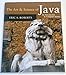 The Art and Science of Java