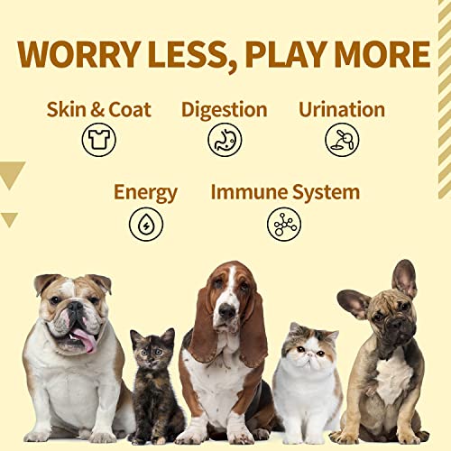 Ganoherb Maca Energy Coffee And Reishi Mushroom Powder For Dogs #TOP6