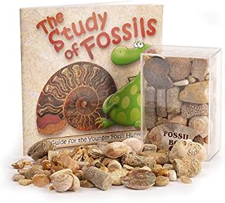 Fossil Box with Study of Fossils Booklet (Pack of 1)