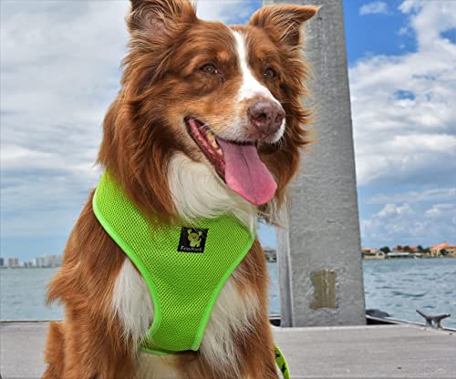 Image of Classic Dog Harness Innovative Mesh No Pull No Choke Design Soft Double Padded Breathable Vest for Eco-Friendly Easy Control Walking for Large Puppies Full Size Breeds & Extra Large Dogs (XXL, Green)