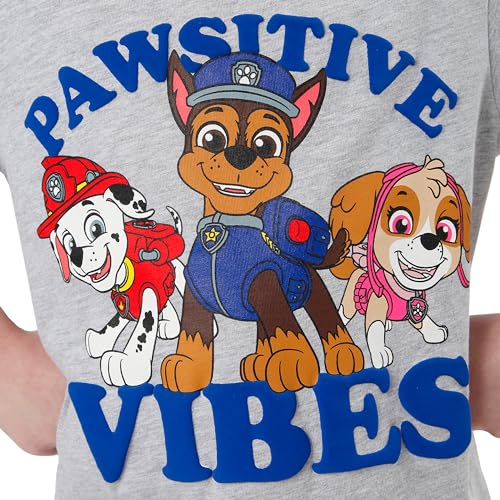 Paw Patrol Tshirt | T-Shirts for Boys | Boys Summer Clothes3