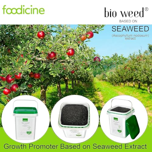 Image of Bio Weed 5 KG - Seaweed Extract Granules Premium Plant Fertilizer and Growth Promoter for All Types of Plants