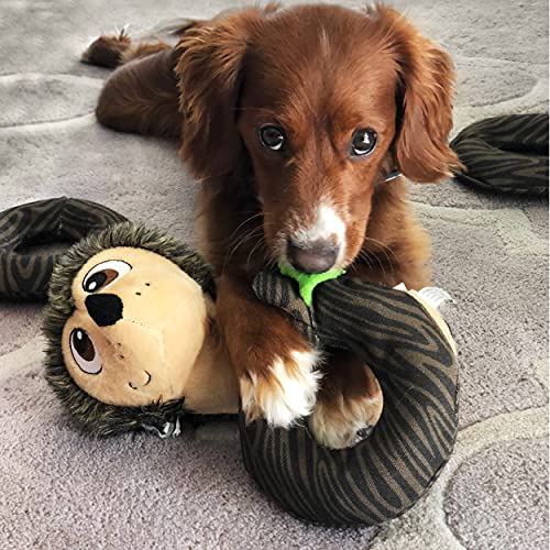 Outward Hound Hedgie Challenge Quebra-cabeça interativo brinquedo de pelúcia para cães