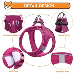 Dog-Harness-with-Leash-SetNo-Pull-Pet-Harness-with-2-Leash-Clips-Adjustable-Soft-Padded-Dog-Vest-for-Extra-SmallSmall-Medium-Large-Dogs-and-CatsRedMedium - Cucciolini Doodles   Dog-Harness-with-Leash-SetNo-Pull-Pet-Harness-with-2-Leash-Clips-Adjustable-Soft-Padded-Dog-Vest-for-Extra-SmallSmall-Medium-Large-Dogs-and-CatsRedMedium