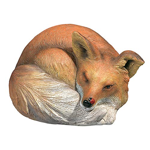 Grasslands Road Fox Hide a Key