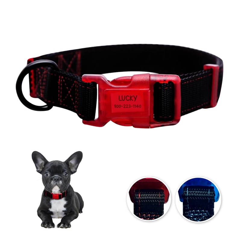 Sporn Dog ID Collar for Small Dogs, Black & Red Small Dog Collar Made of Nylon with Contrasting Colored Stitiching, Dog Collars for Small Dogs