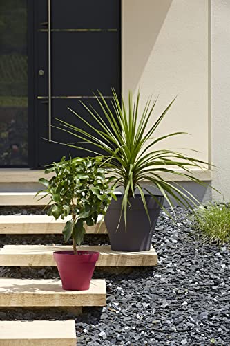 Decora tu terraza con Poetic Jardin Romeo morado y negro para plantas 7
