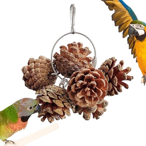 Parrot Chew Toy - Natural Nuts Chewing Bird Toys | Bird Cage Accessories for Small & Medium Macaws Cockatoos Parakeet Cockatiel 