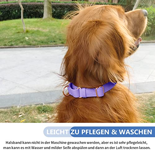 Collare per cani in morbida pelle, regolabile con