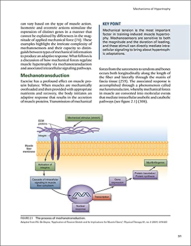 Science and Development of Muscle Hypertrophy - Image 3