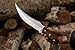 Mega Blades Fexmoo -7253 Custom Handmade D2 Steel Hunting Karambit Knife, D2 Steel 13-Inch Bowie Knife With Sheath, Silver
