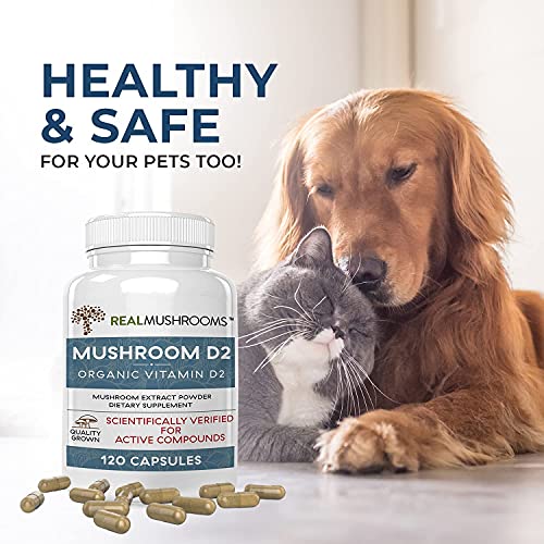 Real Mushrooms Vitamin D2 (120 Ct) Vegan Vitamin D Supplements - Organic Vitamin D Vegan Supplement 1000 Iu Shiitake & Agaricus Mushroom Complex - Vegan Vitamins For Bone & Muscle Health, Energy, Mood #TOP3