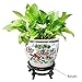Feng Shui Chinese Wooden Fishbowl Planter Display Stand (10 Inch)