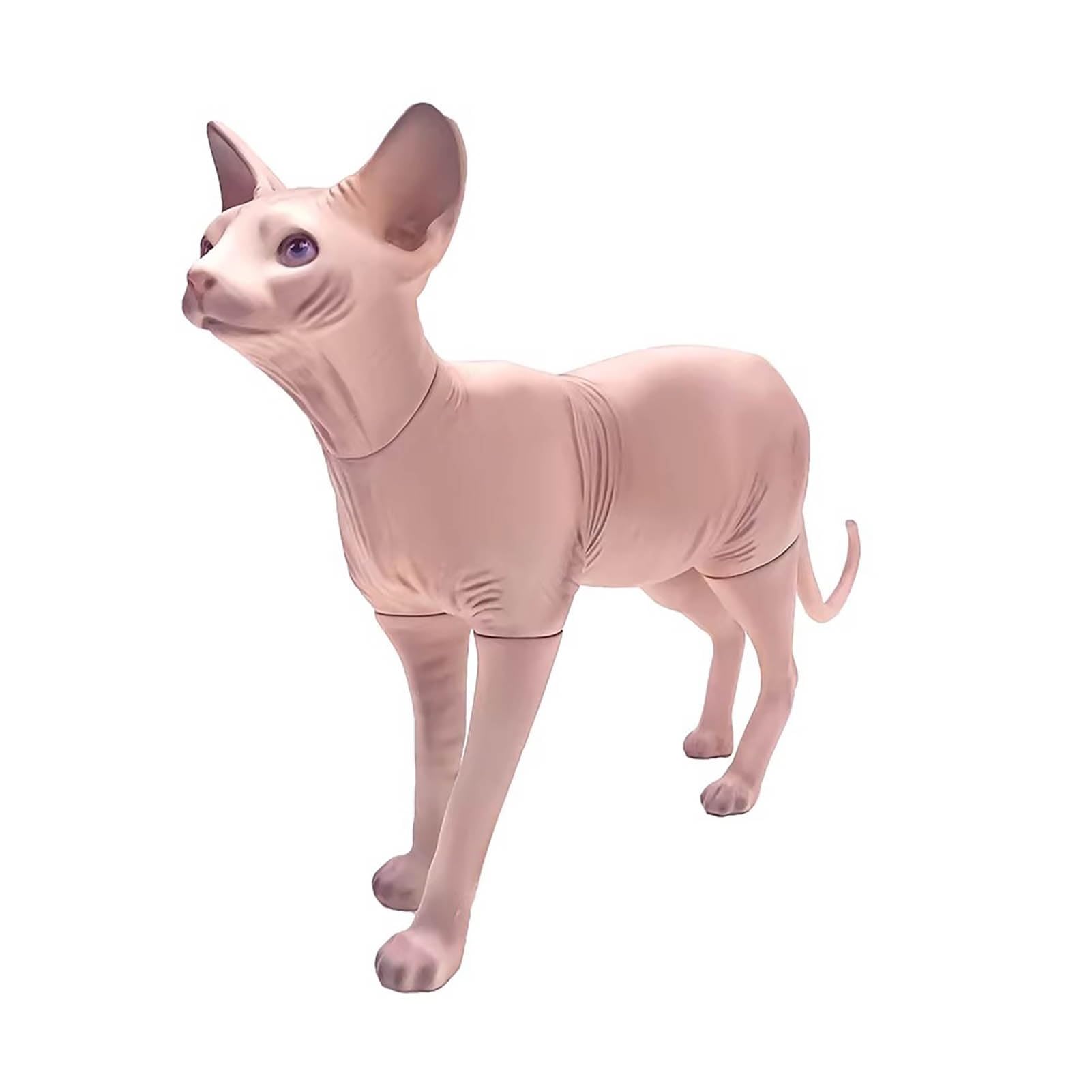 Oracra A Oracr Mannequin Body Realistic Hairless Sphynx Cat Figurine, Small Standing Cats Statue Home Decor, Detachable Pet Mannequin Clothes Models Display Stand, Pet Props(A)