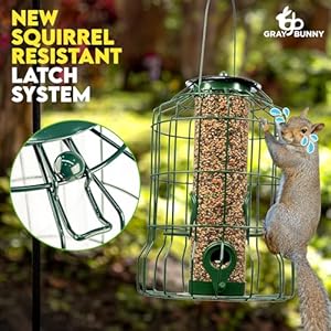 Gray Bunny Squirrel Proof Bird Feeders for Outdoors Hanging (Green) Metal Bird Feeder Squirrel Proof, Seed Birdfeeder, 4 Ports, Chew-Proof Weather Resistant Outside Backyard Birding Watching Gifts Gray Bunny Squirrel Proof Bird Feeders for Outdoors Hanging Green Metal Bird Feeder Squirrel Proof Seed Birdfeeder 4 Ports Chew Proof Weather Resistant Outside Backyard Birding Watching Gifts