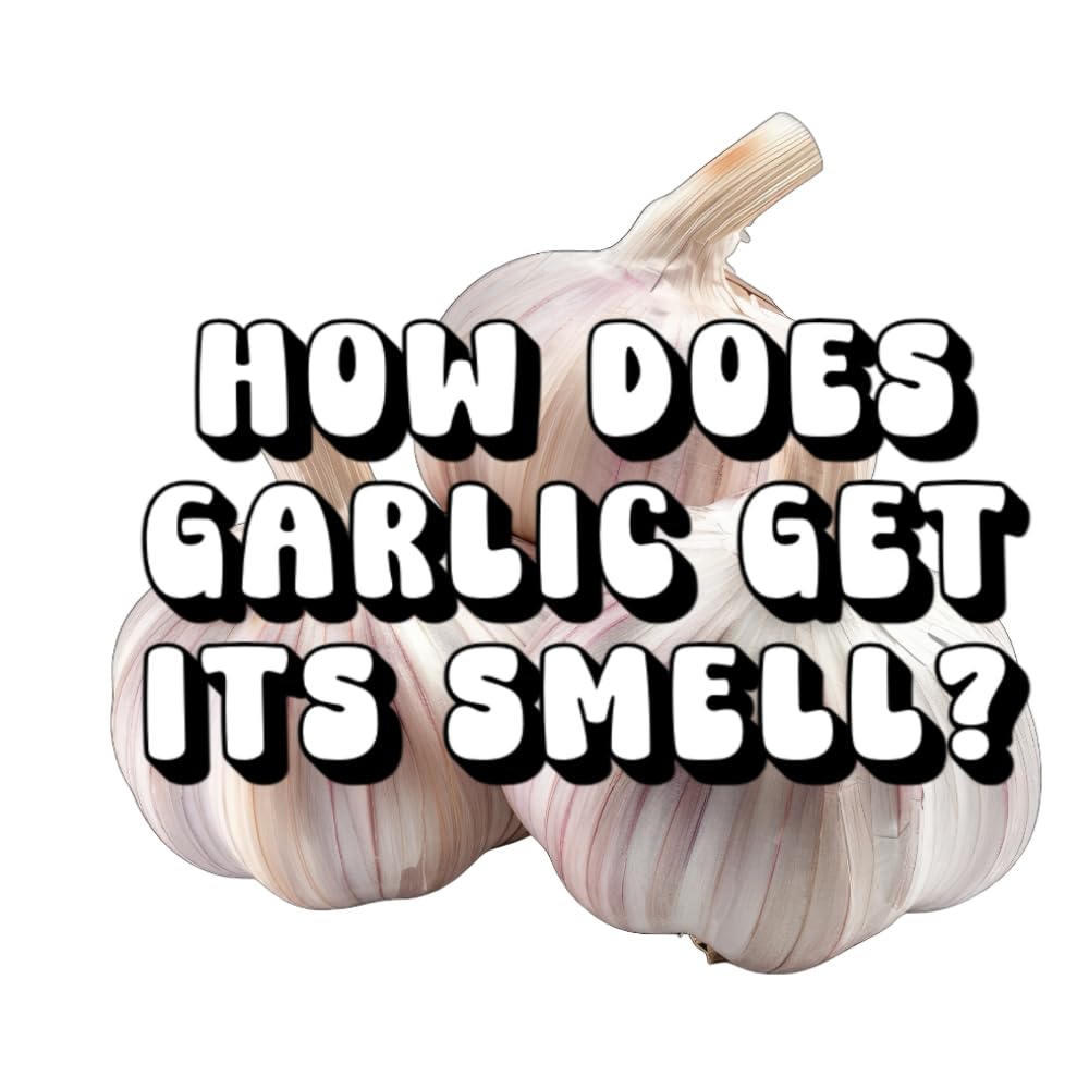 How Does Garlic Get Its Smell?