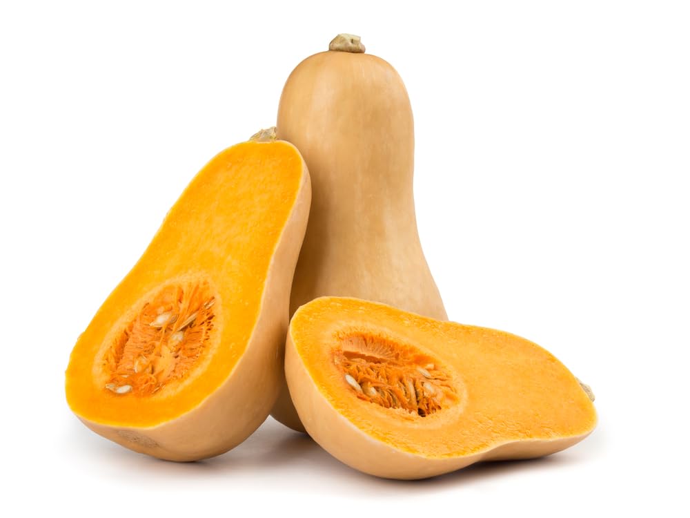 Butternut Squash Plant, 'Hunter', 2 x Full Plants in 9cm Pots, Vegetable Plants, Squash, Butternut, Garden Ready, Premium Quality Vegetable Plants