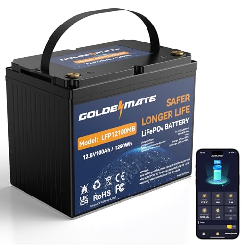 GOLDENMATE 12V 100Ah Group 24 Bluetooth LiFePO4 Battery, Deep Cycle Lithium Battery, Built-in 100A BMS, Up to 15000 Cycles, Perfect for RV, Solar System, Marine, Trolling Motor, Off-grid Setups