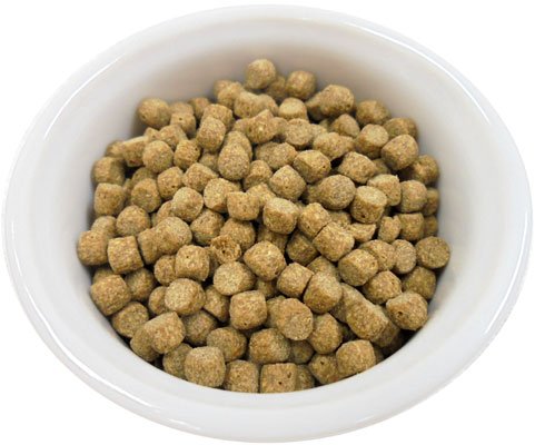 Amazon | Fay Hedgehog Food (フェイ ハリネズミフード) 500g