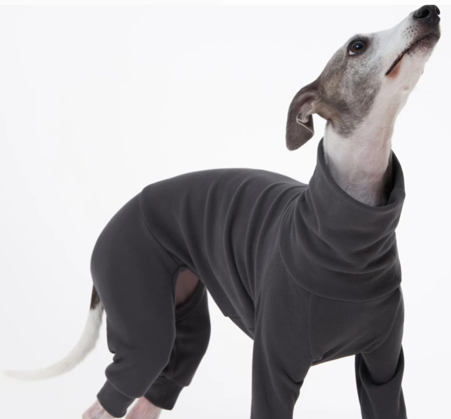 Kuscheliger Baumwoll-Einteiler Hundebekleidung Hundemantel Fleece Für Italienische Windhunde, Whippets, Superweicher, Warmer Schlafanzug Und Overall
